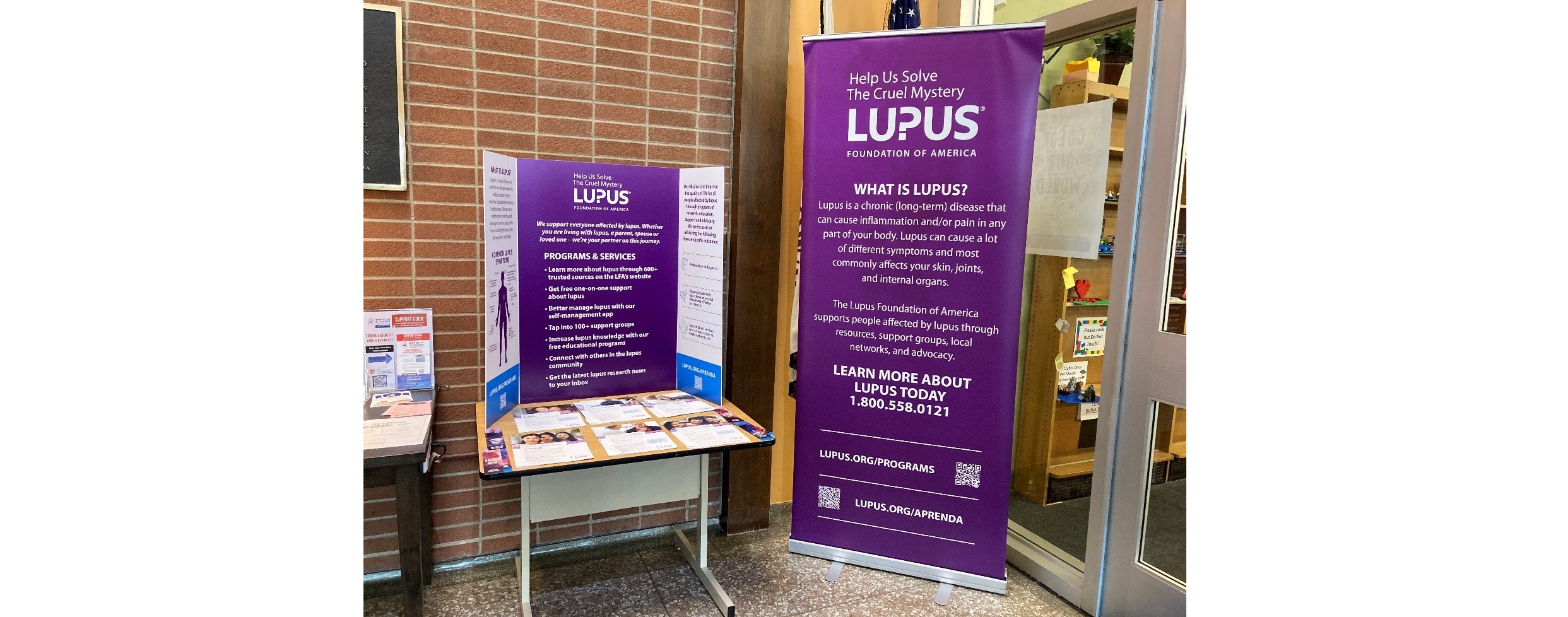 Library Display 2.jpg